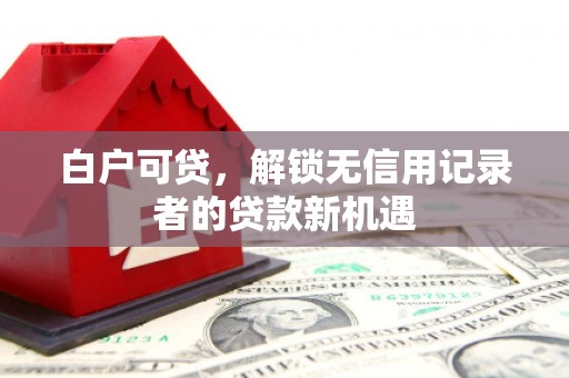 东营白户可贷，解锁无信用记录者的贷款新机遇