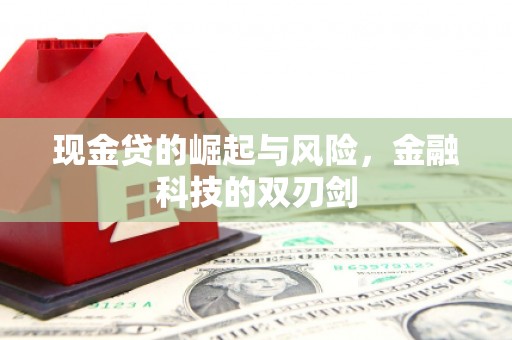 东营现金贷的崛起与风险，金融科技的双刃剑
