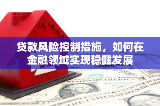 东营贷款风险控制措施，如何在金融领域实现稳健发展
