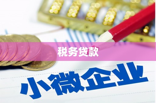 东营税务贷款