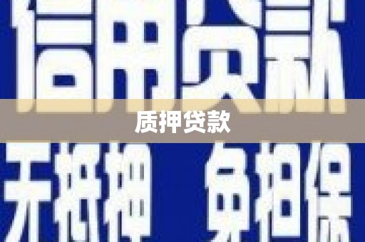 东营质押贷款