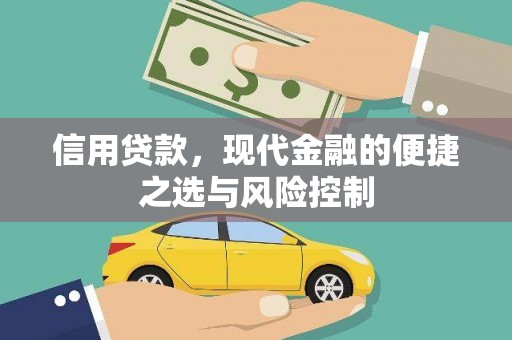 东营信用贷款，现代金融的便捷之选与风险控制