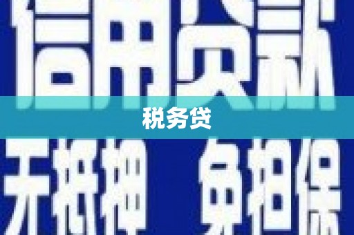 东营税务贷
