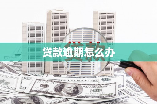 东营贷款逾期怎么办