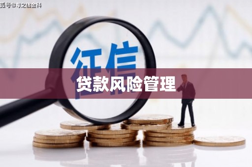 东营贷款风险管理