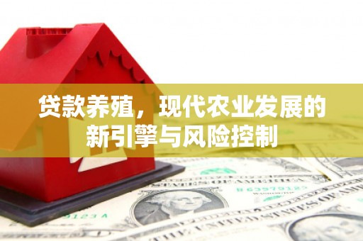 东营贷款养殖，现代农业发展的新引擎与风险控制