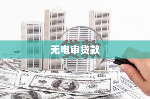 东营无电审贷款