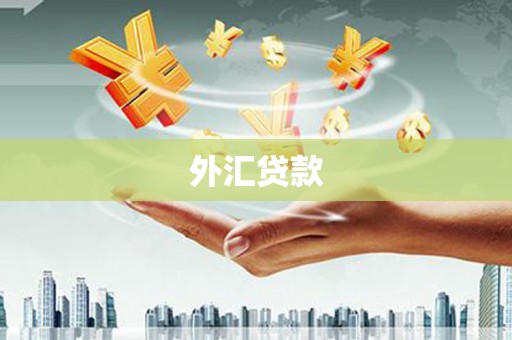 东营外汇贷款