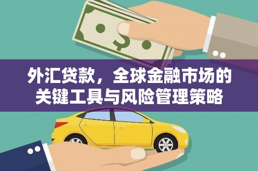 东营外汇贷款，全球金融市场的关键工具与风险管理策略