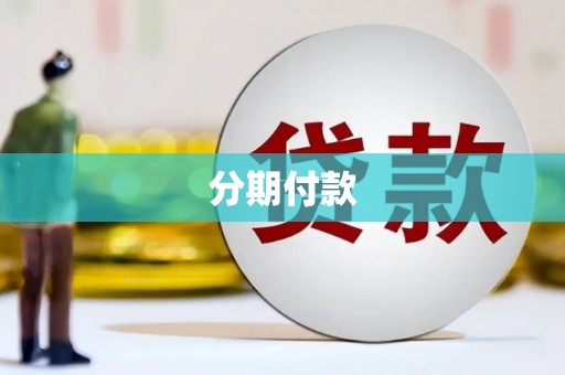 东营分期付款