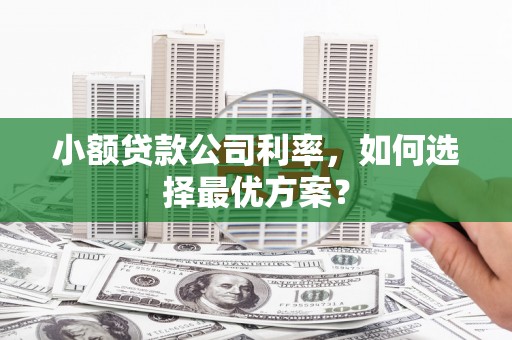 东营小额贷款公司利率，如何选择最优方案？