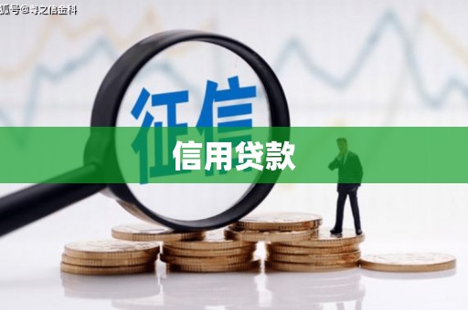 东营信用贷款