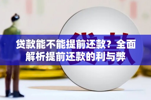 东营贷款能不能提前还款？全面解析提前还款的利与弊