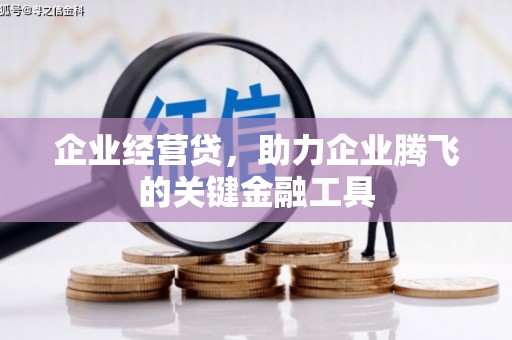 东营企业经营贷，助力企业腾飞的关键金融工具