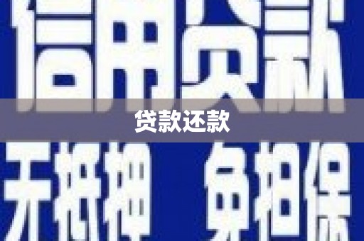 东营贷款还款