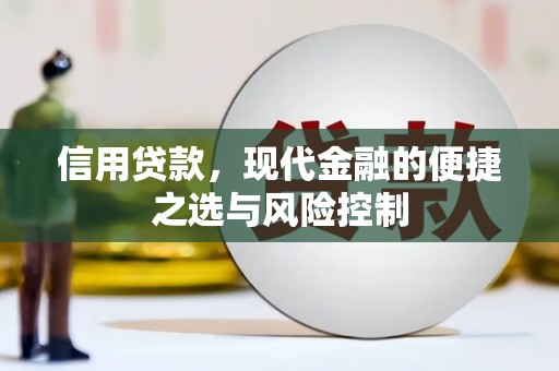 东营信用贷款，现代金融的便捷之选与风险控制