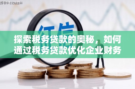东营探索税务贷款的奥秘，如何通过税务贷款优化企业财务