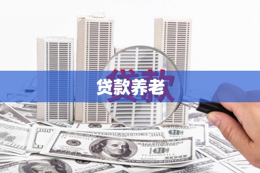 东营贷款养老