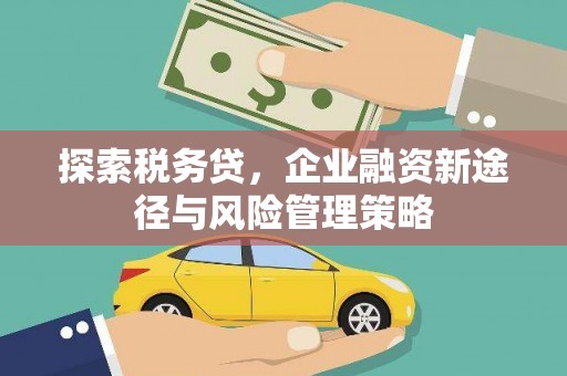 东营探索税务贷，企业融资新途径与风险管理策略