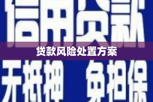 东营贷款风险处置方案
