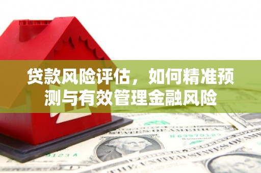 东营贷款风险评估，如何精准预测与有效管理金融风险