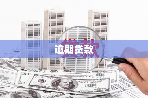 东营逾期贷款