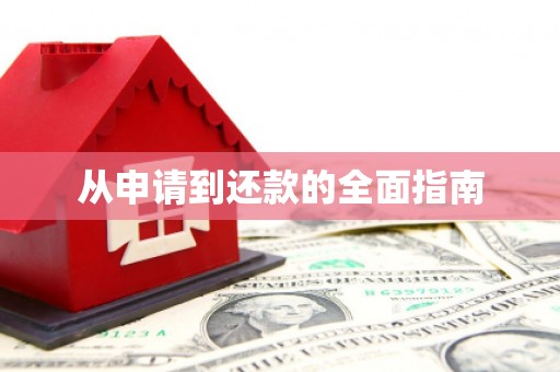 东营从申请到还款的全面指南