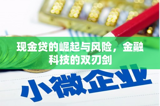 东营现金贷的崛起与风险，金融科技的双刃剑