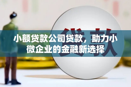 东营小额贷款公司贷款，助力小微企业的金融新选择
