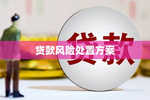 东营贷款风险处置方案