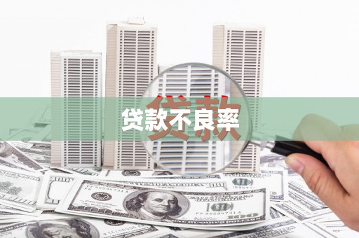 东营贷款不良率