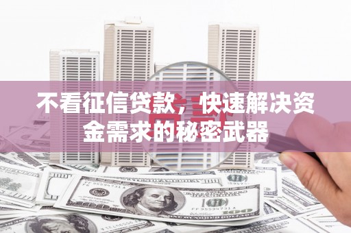 东营不看征信贷款，快速解决资金需求的秘密武器