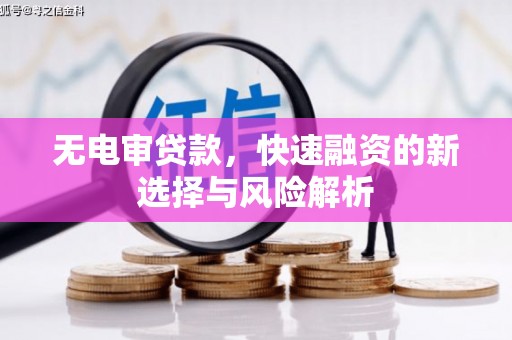 东营无电审贷款，快速融资的新选择与风险解析