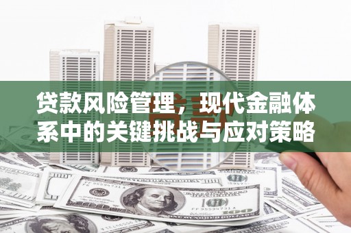 东营贷款风险管理，现代金融体系中的关键挑战与应对策略