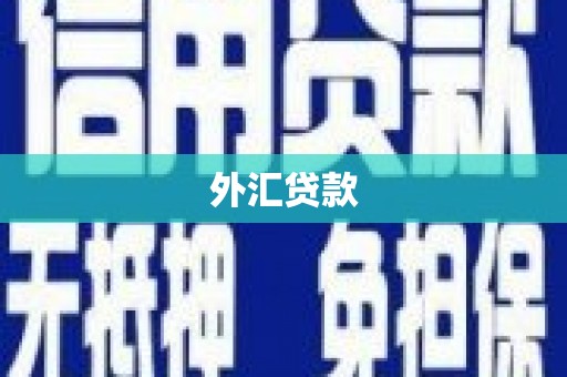东营外汇贷款