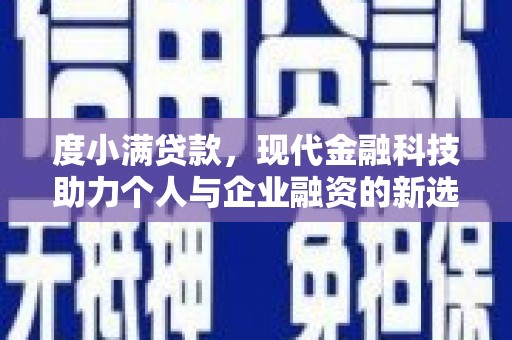 东营度小满贷款，现代金融科技助力个人与企业融资的新选择