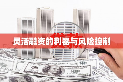 东营灵活融资的利器与风险控制