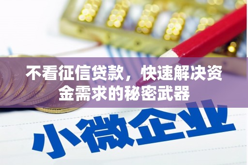 东营不看征信贷款，快速解决资金需求的秘密武器