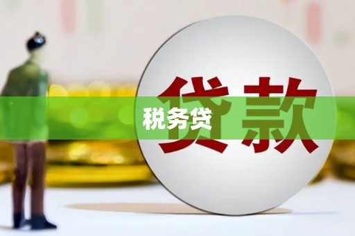东营税务贷