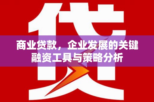 东营商业贷款，企业发展的关键融资工具与策略分析