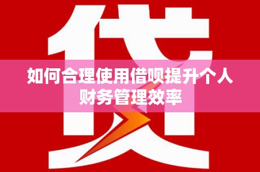 东营如何合理使用借呗提升个人财务管理效率