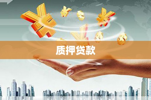 东营质押贷款