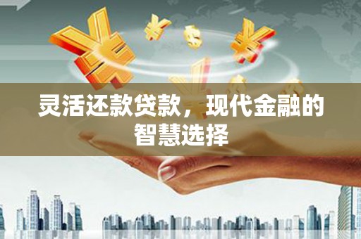 东营灵活还款贷款，现代金融的智慧选择