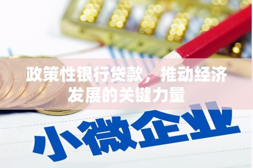 东营政策性银行贷款，推动经济发展的关键力量