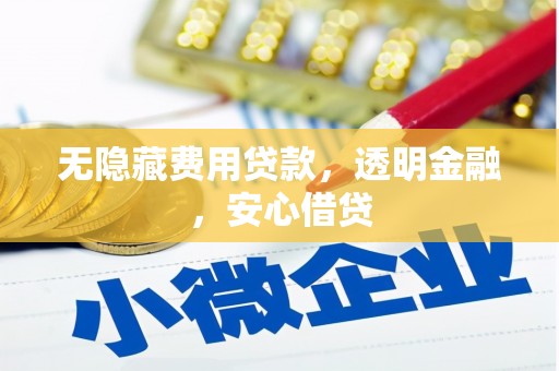 东营无隐藏费用贷款，透明金融，安心借贷