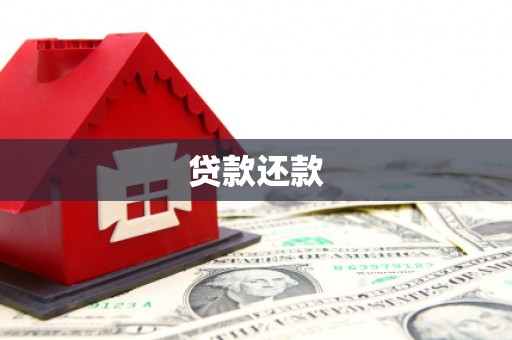 东营贷款还款