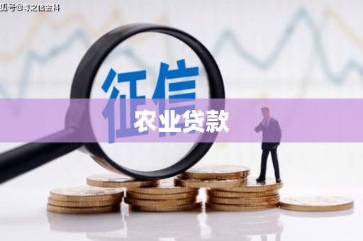 东营农业贷款