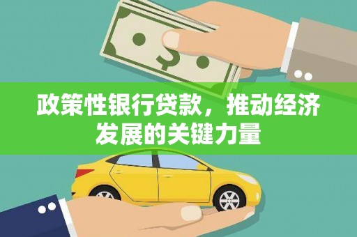 东营政策性银行贷款，推动经济发展的关键力量