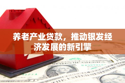 东营养老产业贷款，推动银发经济发展的新引擎
