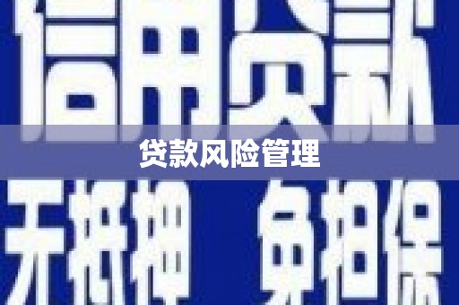 东营贷款风险管理